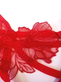 BLUEBELLA Tempest Bra -Boutique Fashion Lingerie Store 20201015 143550