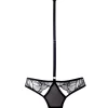 BLUEBELLA Emerson (Black) Lace And Mesh Harness Brief