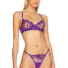 BLUEBELLA Marseille Bra Heliotrope Purple