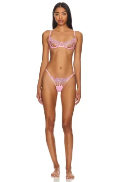 BLUEBELLA Sapphira Thong Begonia Pink -Boutique Fashion Lingerie Store BEBE WI454 V4