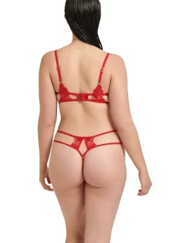 BLUEBELLA Colette Thong (Red) -Boutique Fashion Lingerie Store bluebella colette thong tomato red embroidery lace gstring sexy lingerie underwear E