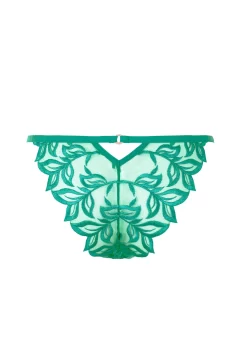 BLUEBELLA Isadora Brief (Columbia Green) -Boutique Fashion Lingerie Store bluebella isadora brief columbia green lace embroidery sexy lingerie H
