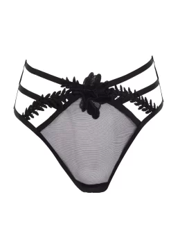 BLUEBELLA Lennon High-Waist Thong (Black)