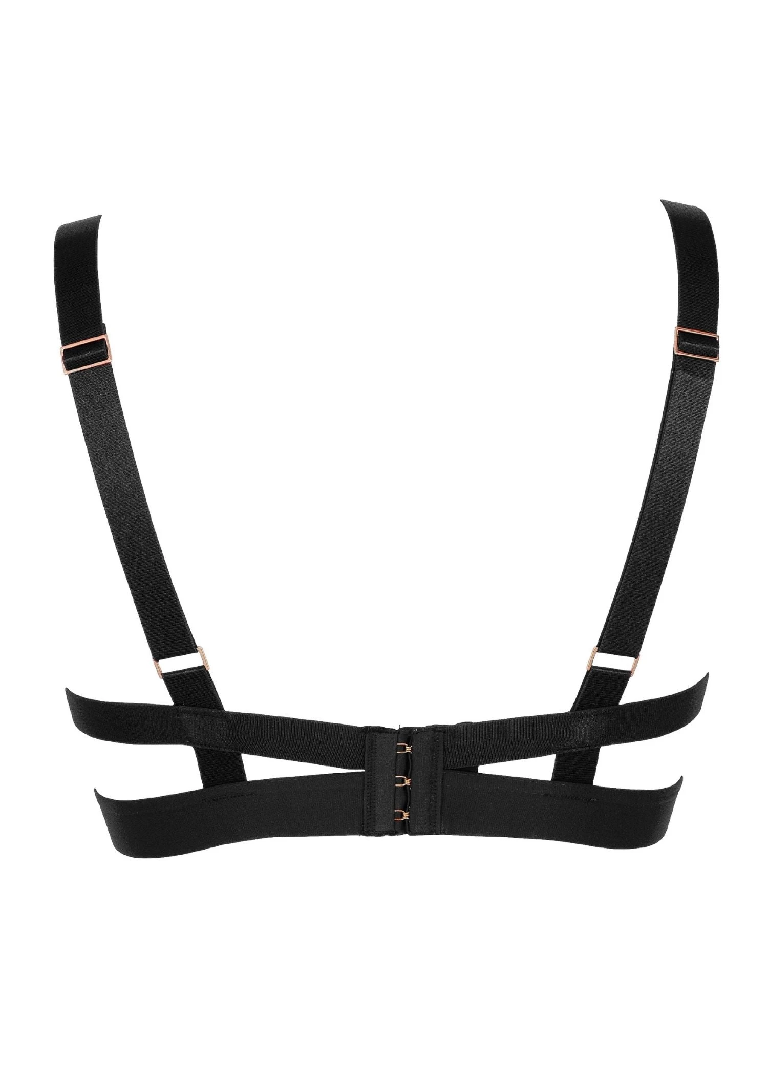 BLUEBELLA Sofia Bra 8 BLUEBELLA Sofia Bra - Image 8